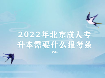北京成人專升本報考條件