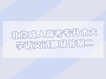 北京成人高考專升本大學(xué)語(yǔ)文